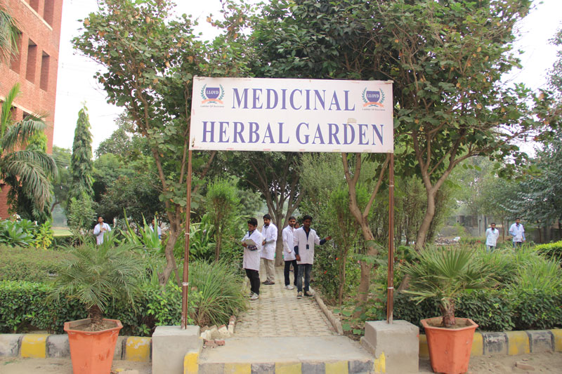 herbal-garden
